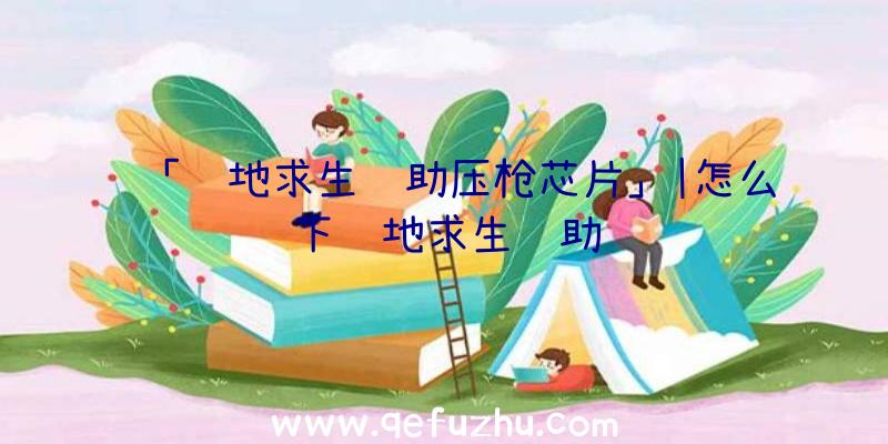 「绝地求生辅助压枪芯片」|怎么下绝地求生辅助